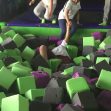 FlipOut1-2017 FlipOut1-2017