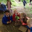 Forest School 2017b Forest School 2017b