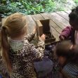 Forest School 2017h Forest School 2017h