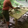 Forest School 2017k Forest School 2017k