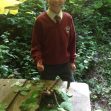 Forest School 2017o Forest School 2017o