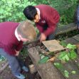 Forest School 2017q Forest School 2017q