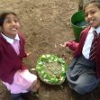 Forest School 2017r Forest School 2017r