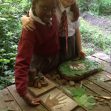 Forest School 2017u Forest School 2017u